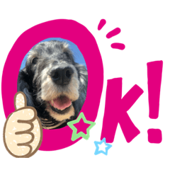 [LINEスタンプ] バル＆Yell