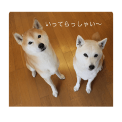 [LINEスタンプ] マロンとライム 日常編