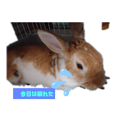[LINEスタンプ] 今日ですか？