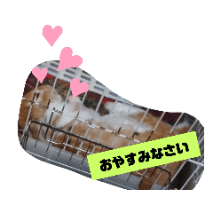 [LINEスタンプ] 遊んで