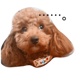 [LINEスタンプ] 可愛いさくちゃんスタンプ