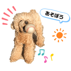 [LINEスタンプ] ビションプーのめる