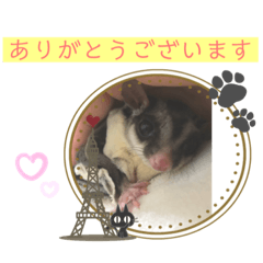 [LINEスタンプ] モモンガ大好き 日常会話