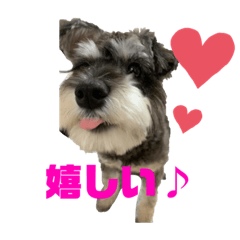 [LINEスタンプ] マロくんスタンプ@〜6ヶ月