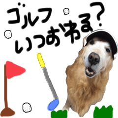 [LINEスタンプ] ゴールデンレトリバーのせなくんスタンプ