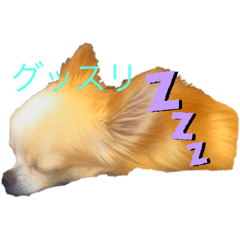 [LINEスタンプ] シチューのゆるゆるスタンプ