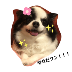 [LINEスタンプ] momo727