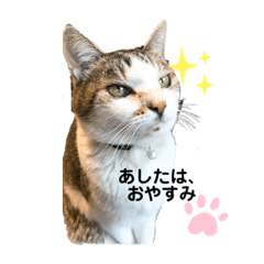 [LINEスタンプ] たからもの2020の②