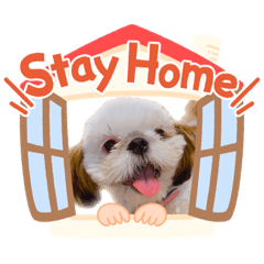 [LINEスタンプ] こつぶちゃんダヨ