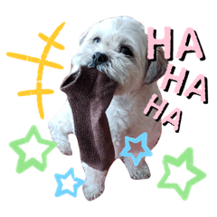 [LINEスタンプ] 姫・ペタロー・コペタ1