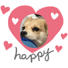[LINEスタンプ] まいあいけんけんけん