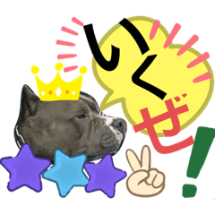 [LINEスタンプ] ピットブルテリア ⓵