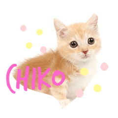 [LINEスタンプ] chiko stamp vol.1の画像（メイン）