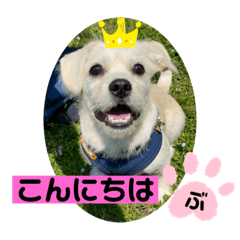 [LINEスタンプ] ペキチワぶんた1