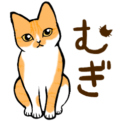 [LINEスタンプ] ねこすたんぷ。【むぎ】