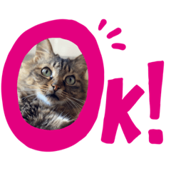 [LINEスタンプ] ミーシャ基本タイプ
