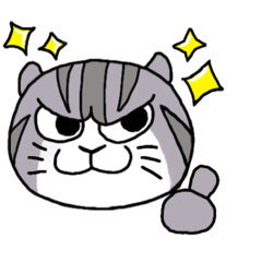 [LINEスタンプ] 京ちゃんスタンプ 001