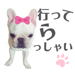 [LINEスタンプ] ペッパーくん@フレンチブルドック