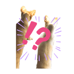 [LINEスタンプ] 趣味。