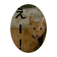 [LINEスタンプ] こねスタ5