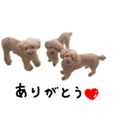 [LINEスタンプ] ぷぷるんくり♡