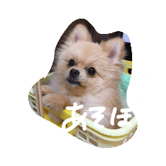 [LINEスタンプ] おつむぎちゃん