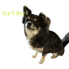 [LINEスタンプ] あずきなこもか2