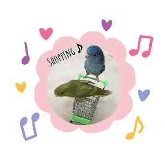 [LINEスタンプ] 我が家インコDays.
