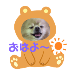 [LINEスタンプ] ポメラニアン☆レイン
