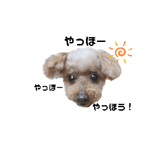 [LINEスタンプ] まろりんの日常