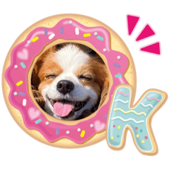 [LINEスタンプ] パピヨンベリーの楽しい日常