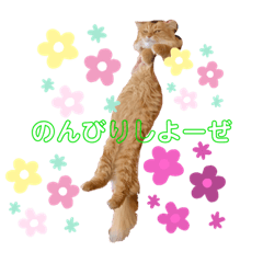 [LINEスタンプ] チャッピー♡①