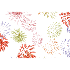 [LINEスタンプ] 透明な背景の花火スタンプ