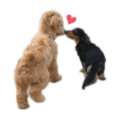 [LINEスタンプ] アル様