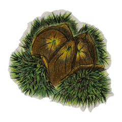 [LINEスタンプ] 果実編