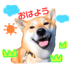 [LINEスタンプ] 柴犬ふくvol.②