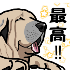 [LINEスタンプ] 大きな犬 大型犬 スパニッシュマスティフ