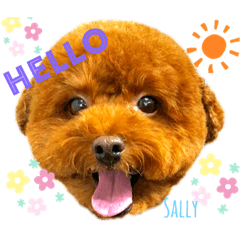 [LINEスタンプ] しゃくれサリーと愉快な愉快な仲間たち