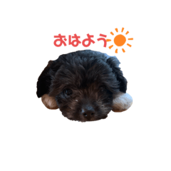[LINEスタンプ] ムギ丸