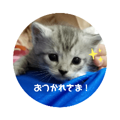 [LINEスタンプ] よさくのつぶやき