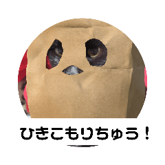 [LINEスタンプ] 家にいよう！