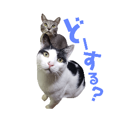 [LINEスタンプ] ジミサブ1