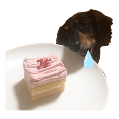 [LINEスタンプ] ヒナ(犬)