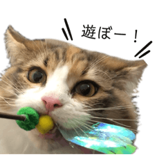 [LINEスタンプ] 無邪気なルナ