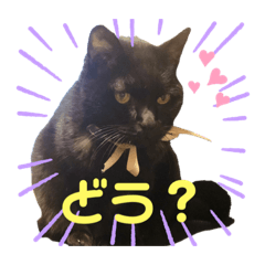 [LINEスタンプ] もかうめきのこ