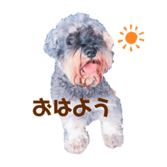 [LINEスタンプ] ジャッキースタンプ★