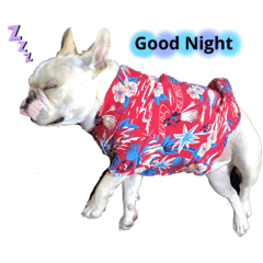 [LINEスタンプ] フレブルるぶ