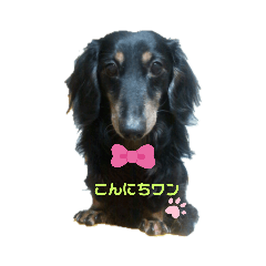 [LINEスタンプ] ガオガオU´•ﻌ•`Uスタンプ