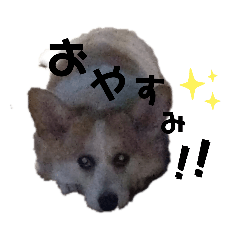 [LINEスタンプ] 犬と燕スタンプ