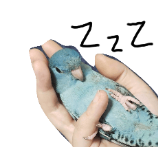 [LINEスタンプ] インコ5